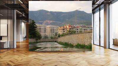 houses on the river Wall mural