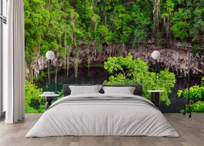 A small lake in a public park surrounded by tall green trees. Top view of the Dominican Republic. Wall mural