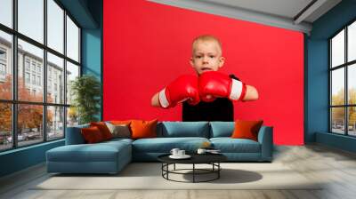 angry boy boxer in red boxing gloves on red background with space for text Wall mural