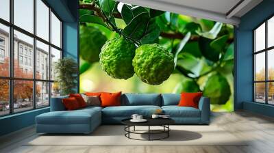 Bergamot weighs on a branch in the garden. Selective focus. Wall mural