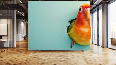 Banner with copy space and a vibrant parrot peeking out of a tear in a pastel blue backdrop, perfect for exotic pet promotions and bird-related advertisements. Wall mural