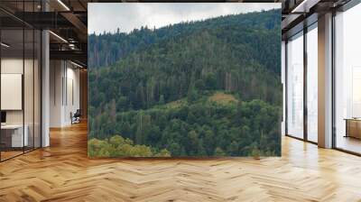 colorful countryside view in carpathians. mountains and forest trees with green meadows  Wall mural