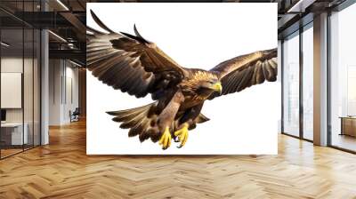 A beautiful golden eagle bird in flight on a white background Wall mural