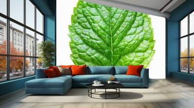 The green allure of mint leaves adds a lively charm to the serene white setting. Wall mural