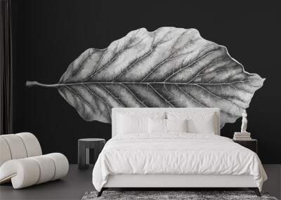 A linear vector of a detailed leaf. Wall mural