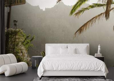 palm in mountain Wall mural