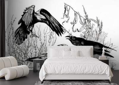 Crow composition illustration, drawing in ink and black liner, tattoo drawing, gothic style birds, ravens picture Wall mural