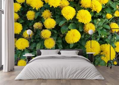 yellow flowers Wall mural