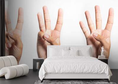  five fingers count signs isolated on white background with Clipping path included. Communication gestures concept  Wall mural