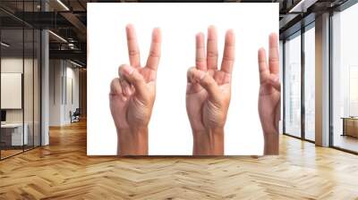 five fingers count signs isolated on white background with Clipping path included. Communication gestures concept. Wall mural