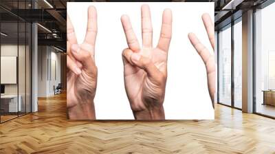 five fingers count signs isolated on white background with Clipping path included. Communication gestures concept Wall mural