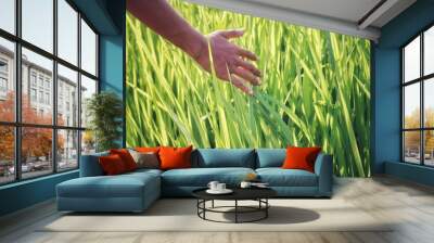 hand in grass Wall mural