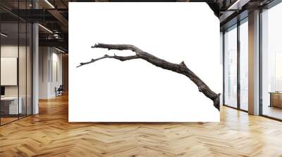 dry branches, white background, png Wall mural