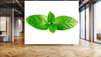 Mint leaves, mint leaves isolated on white background Wall mural