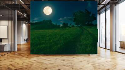 beautiful landscape of natural grass hill in full moon night. Wall mural