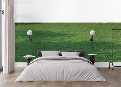 green grass Wall mural