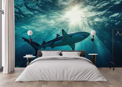 shark swimming in the deep sea geographic photography style Wall mural