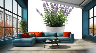 Lavender Plant in White Pot. Wall mural