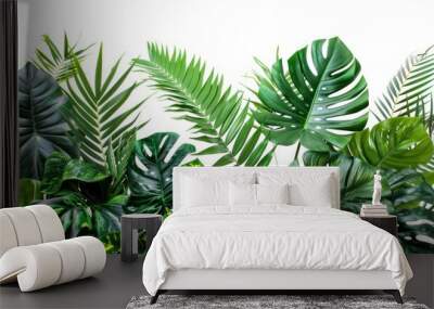 Collection of green leaves of tropical plants bush (Monstera, palm, rubber plant, pine, bird's nest fern). PNG Wall mural