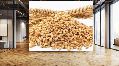 Heap of Spelt wheat isolate on transparency background PNG Wall mural