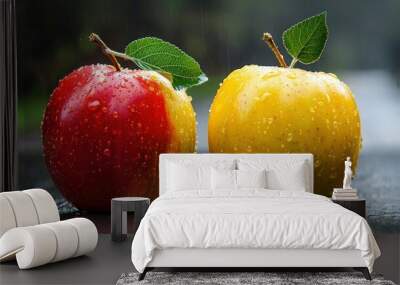 Two apples with a green leaf on top. One is red and the other is yellow. The apples are shiny and wet Wall mural