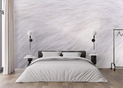 Abstract white fur texture background Wall mural