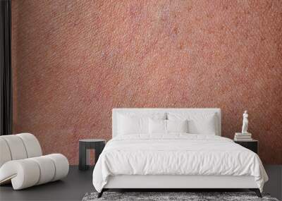 Close-up abstract close-up abstract pink tan human skin texture Wall mural