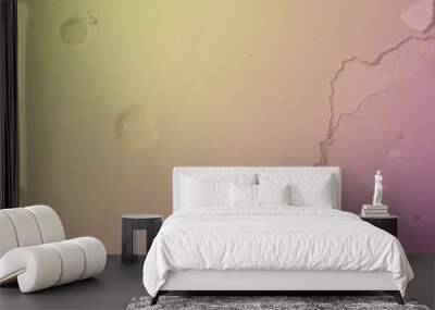 background Wall mural