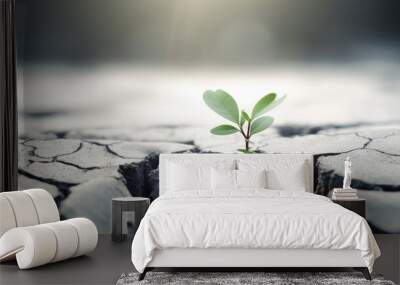 a small green plant grows out of a cracked and dry ground in a desert-like environment. The plant has two leaves and stands out against the blurred background. Wall mural