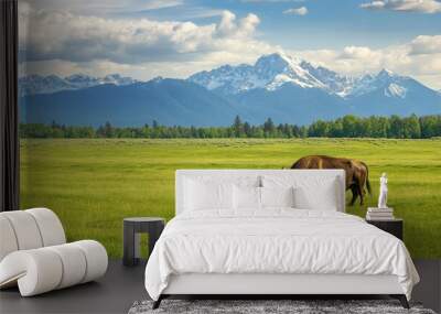 A buffalo grazing in a green field, with mountains in the background. Wall mural