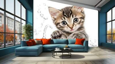 A kitten with its paw dipped into a running stream of water, playfully batting at the water with droplets visible around, all set against a clean, white background. Wall mural