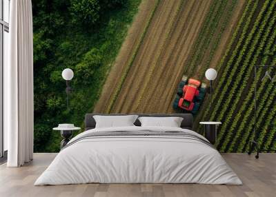 Aerial view of tractor planting crops in lush green farmland with rows of plants Wall mural