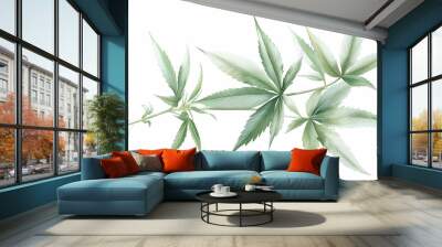 A green branch of Cannabis isolate on white background Wall mural