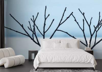 Two bare branches emerging from a snowy landscape under a clear blue sky. Wall mural