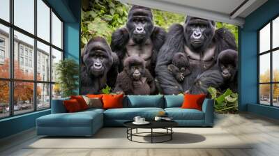 Family of mountain gorillas with a baby gorilla and a silverback posing for picture in Rwanda Wall mural