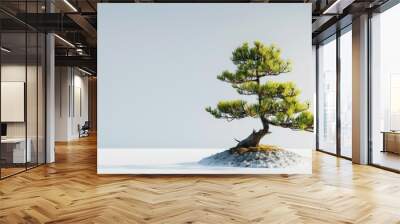 A pine tree bonsai, carefully pruned and shaped Wall mural