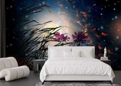 A lonely night with full moon Wall mural