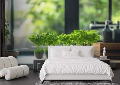 A home hydroponic setup with fresh green salad plants in small cups, designed for compact indoor gardening. Wall mural