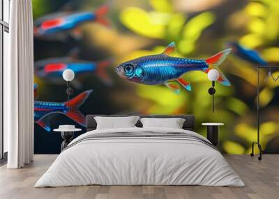 A school of neon tetras swimming in a freshwater tank, showcasing their bright blue and red stripes against a natural background. Wall mural