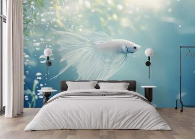 A serene underwater scene featuring a Siamese fighting fish swimming among bubbles, with its long fins gently flowing. Wall mural