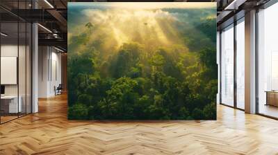 Aerial view of tropical forest at morning sunrise with beautiful green Amazon forest landscape at sunrise. An aerial drone exploration adventure Wall mural