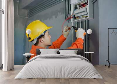 Asian male electricians inspect and install electrical systems in houses and buildings. Wall mural