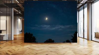 sky with stars Wall mural