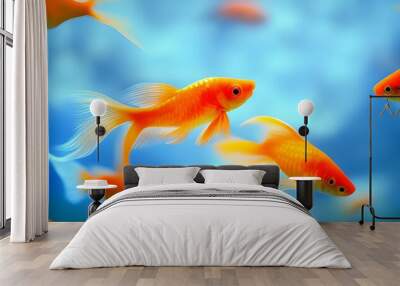 goldfish in aquarium Wall mural