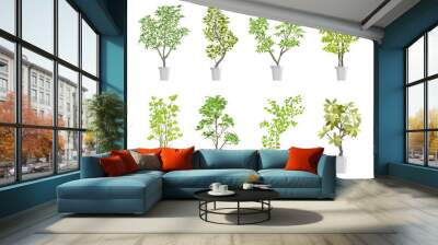 Flat vector Illustration of a foliage plant	 Wall mural