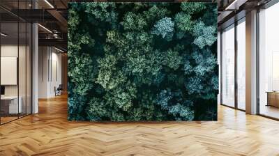 Forest_and_tree_landscape_texture_abstract_background Wall mural