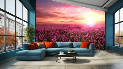 Beautiful_Pink_Flower_field_Sunset_Flowers_beautiful Wall mural