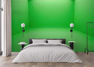 Plain_green_Greenscreen_Green_background Wall mural