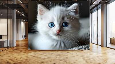 Charming White Kitten with Striking Blue Eyes Wall mural