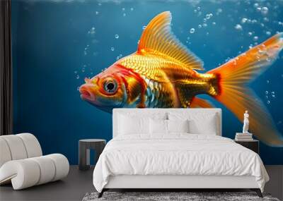 Confident Goldfish with Shark Fin Swimmingplayfully in Deep Blue Water Wall mural